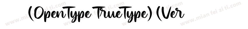 新宋体 常规(OpenType TrueType) (Version字体转换